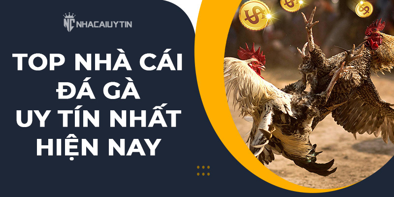 Top trang đá gà trực tiếp uy tín hiện nay