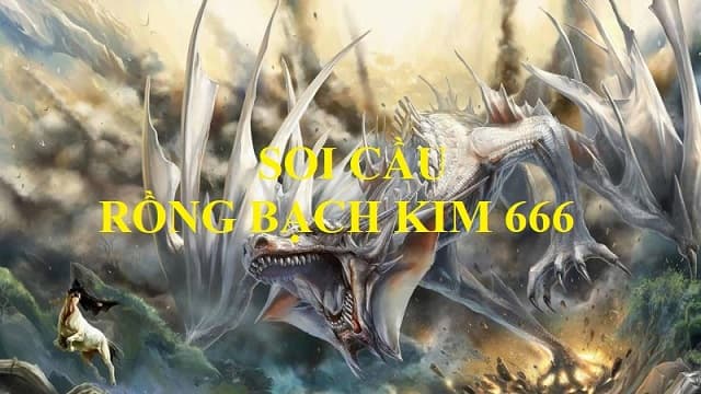 Soi cầu rồng bạch kim 666 là gì? Soi cầu hôm nay có chuẩn không?